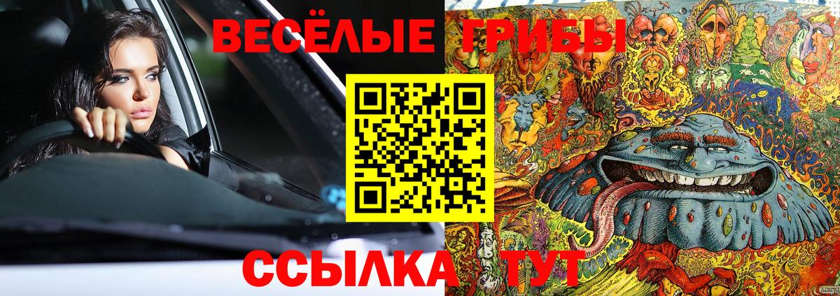 Псилоцибиновые грибы Magic Shrooms  Вход с VPN  где найти наркотики  Киселёвск 