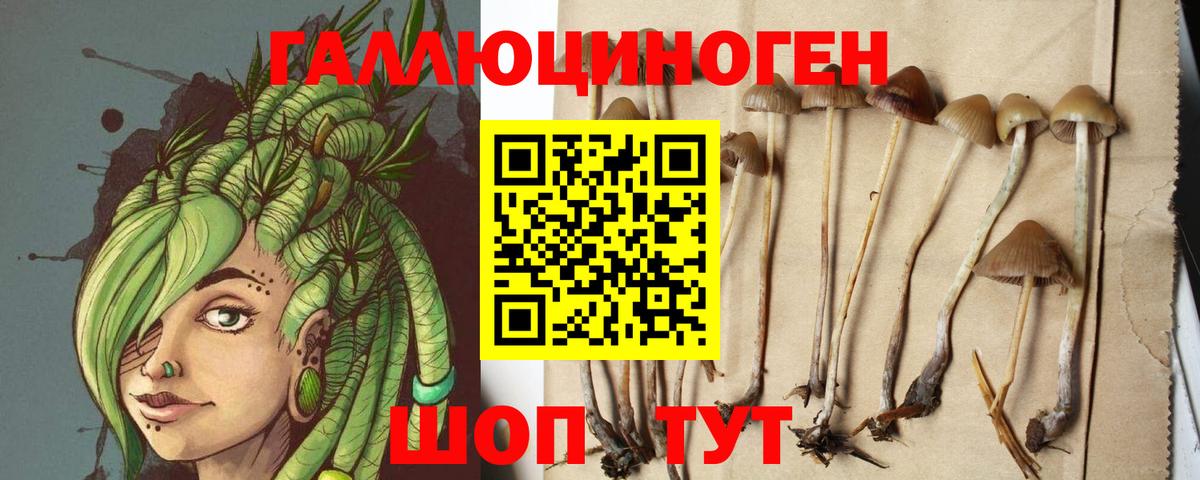 Псилоцибиновые грибы GOLDEN TEACHER Киселёвск
